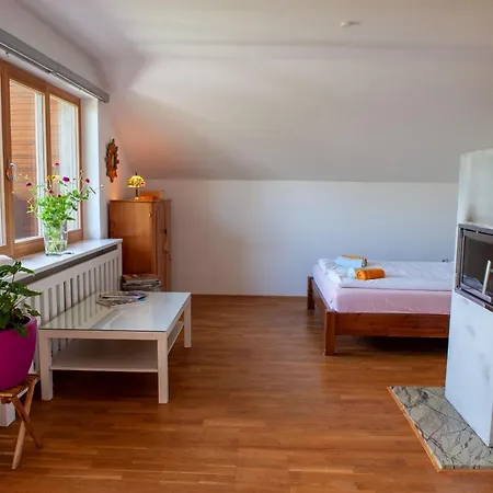Apartma Art&Deco Bled Exterior photo