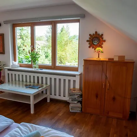 Apartma Art&Deco Bled Exterior photo